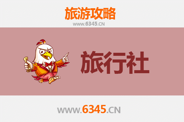 保亭新政镇本地旅行社推荐：探索雨林秘境与黎苗文化的完美向导